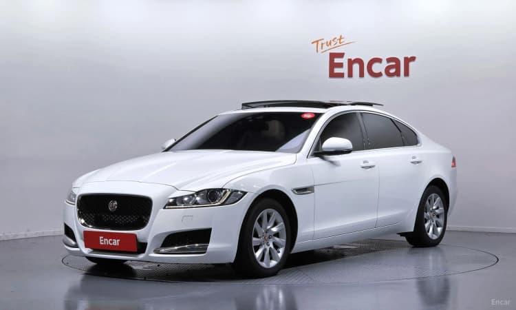 XF (x260)