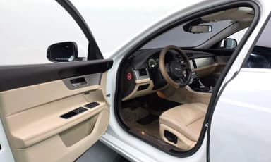 XF (x260)