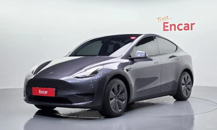 Model Y