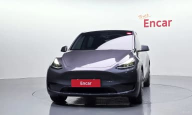 Model Y