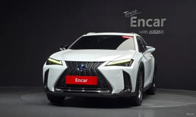 UX250h
