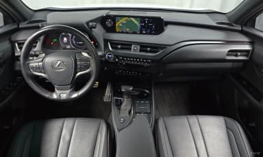 UX250h