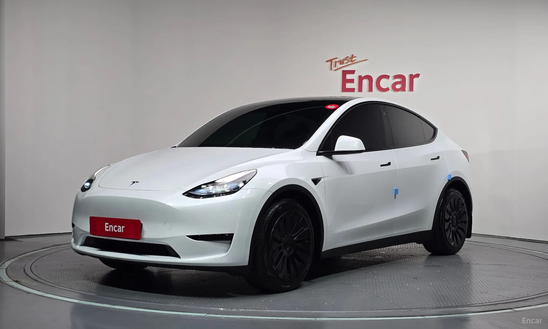 Model Y