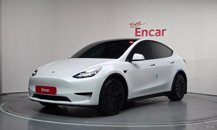 Model Y
