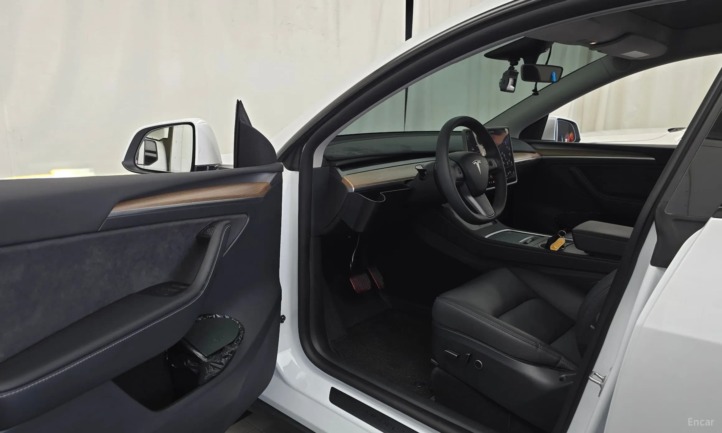 Model Y