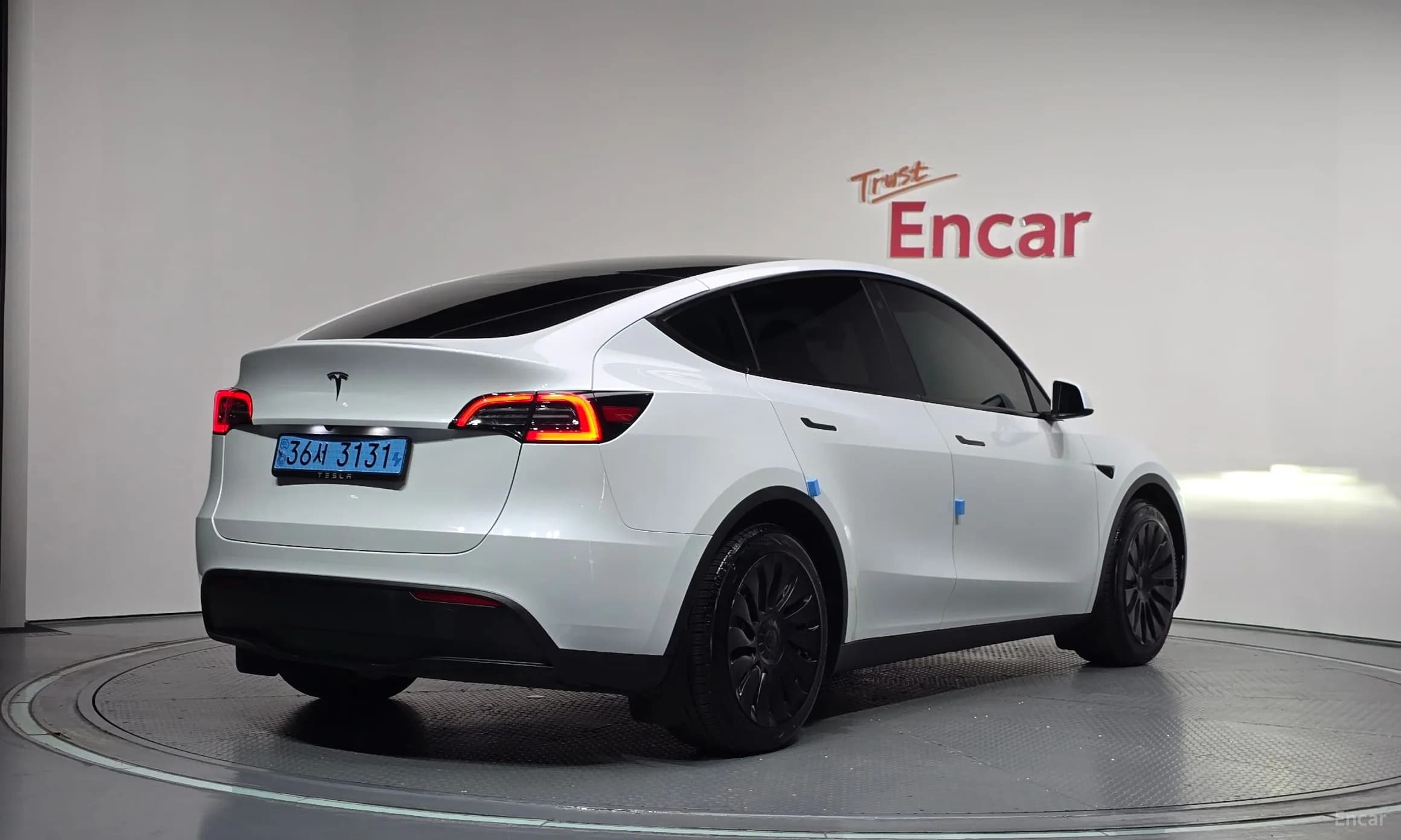 Model Y