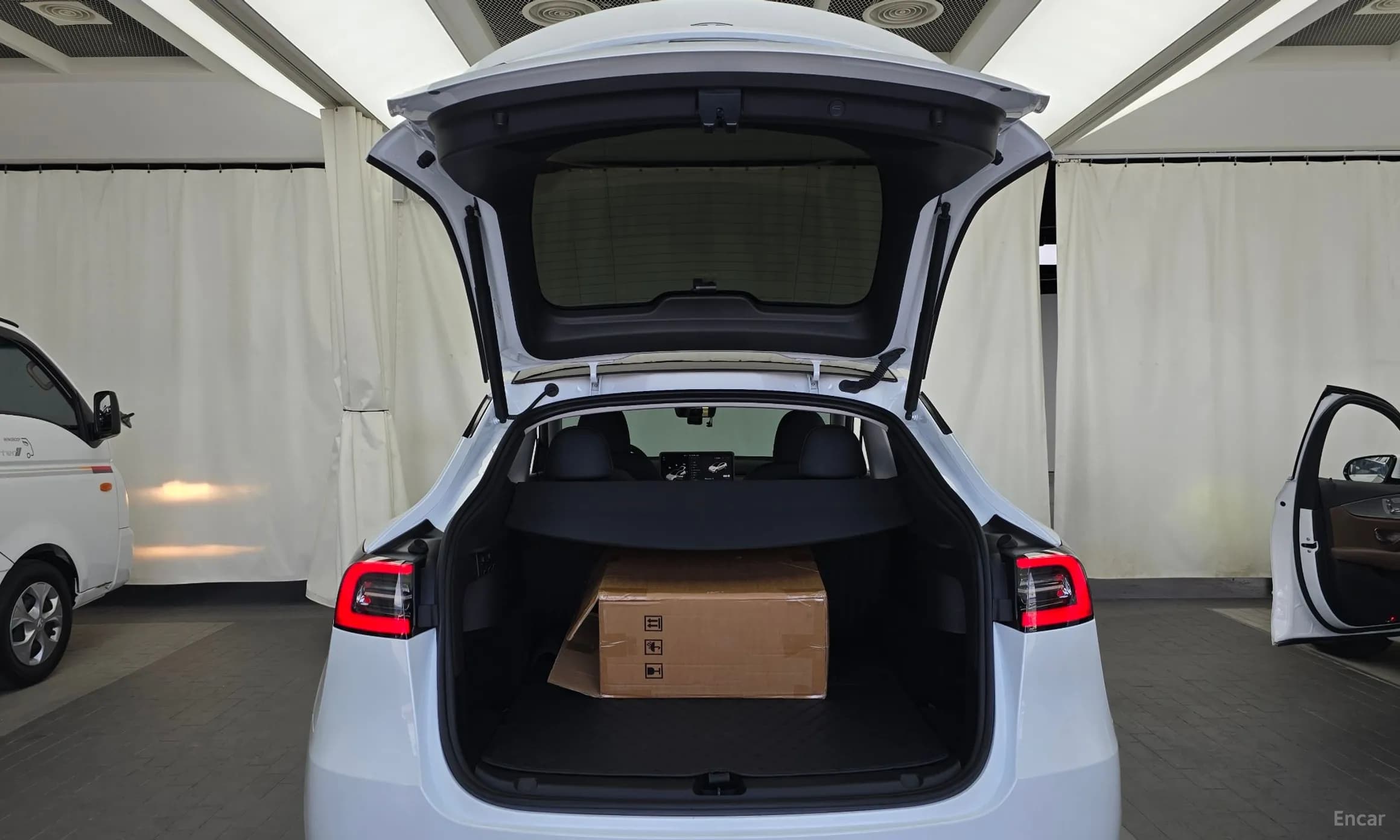 Model Y