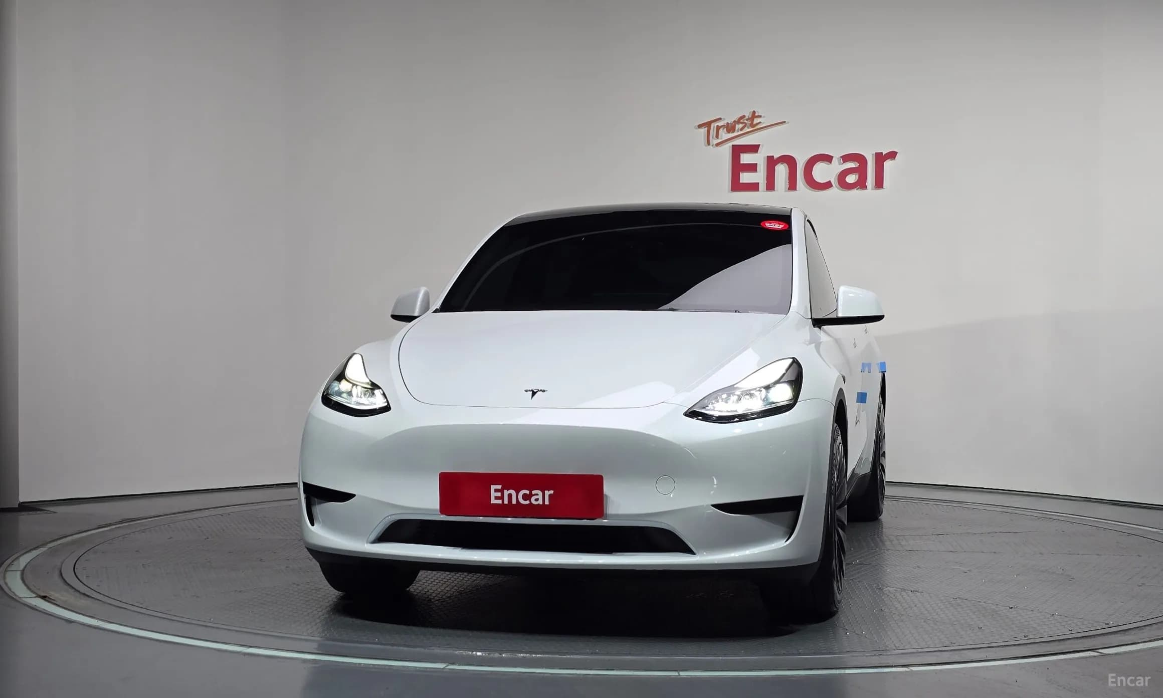 Model Y