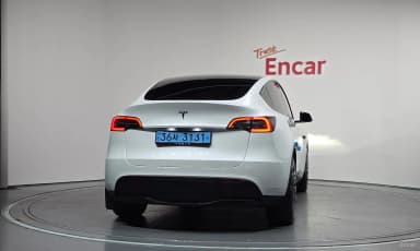 Model Y