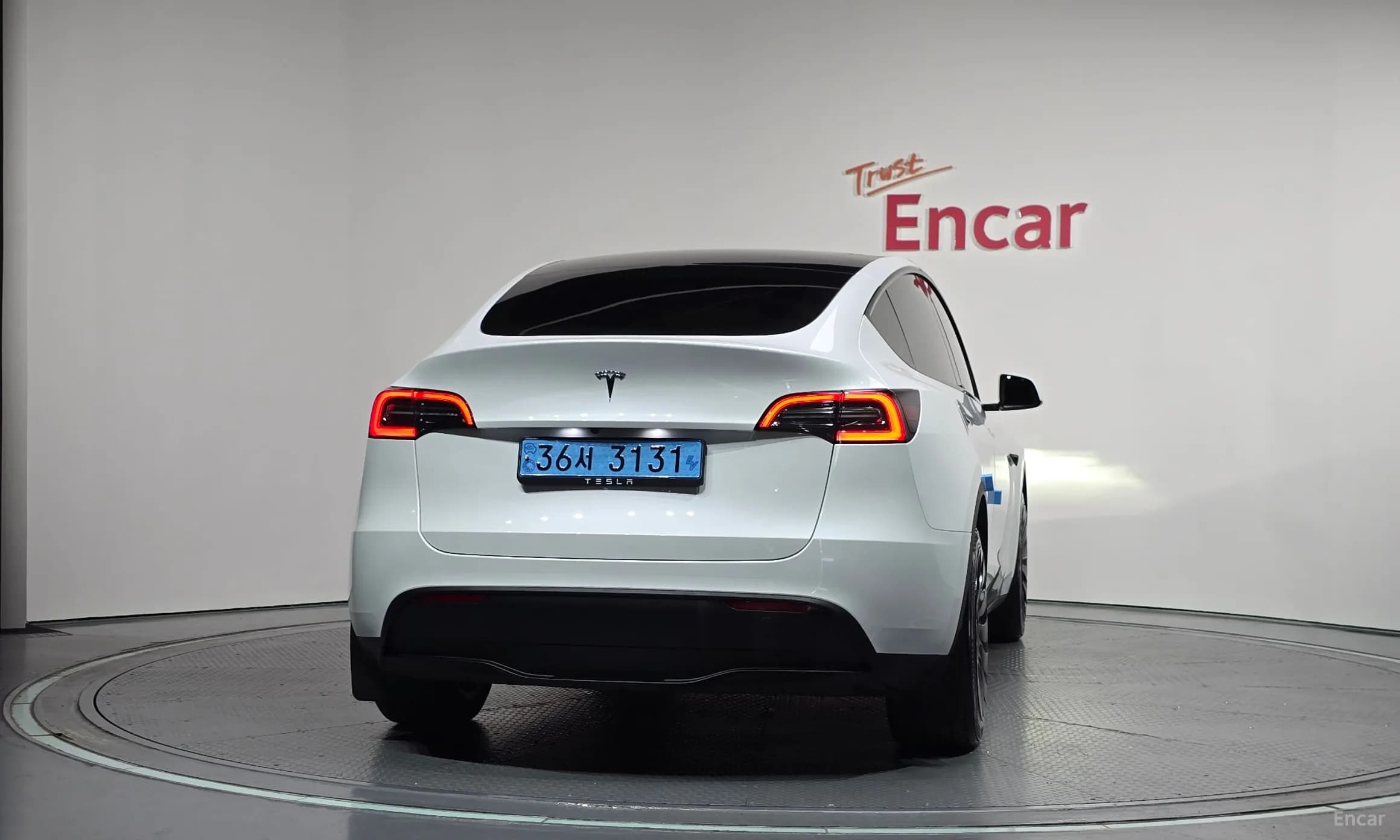 Model Y