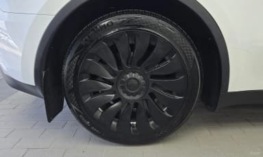 Model Y