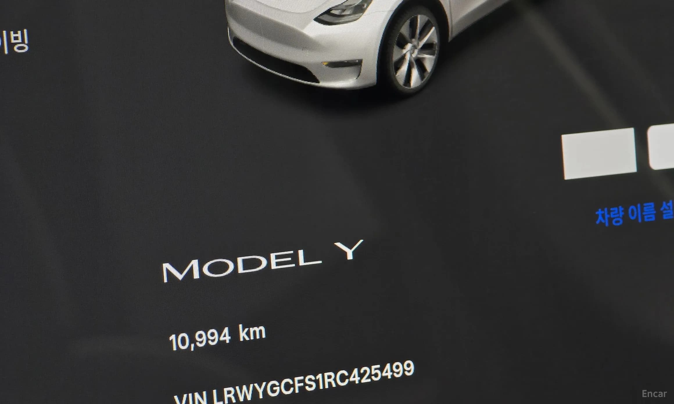 Model Y