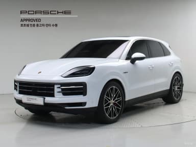 Cayenne (PO536)
