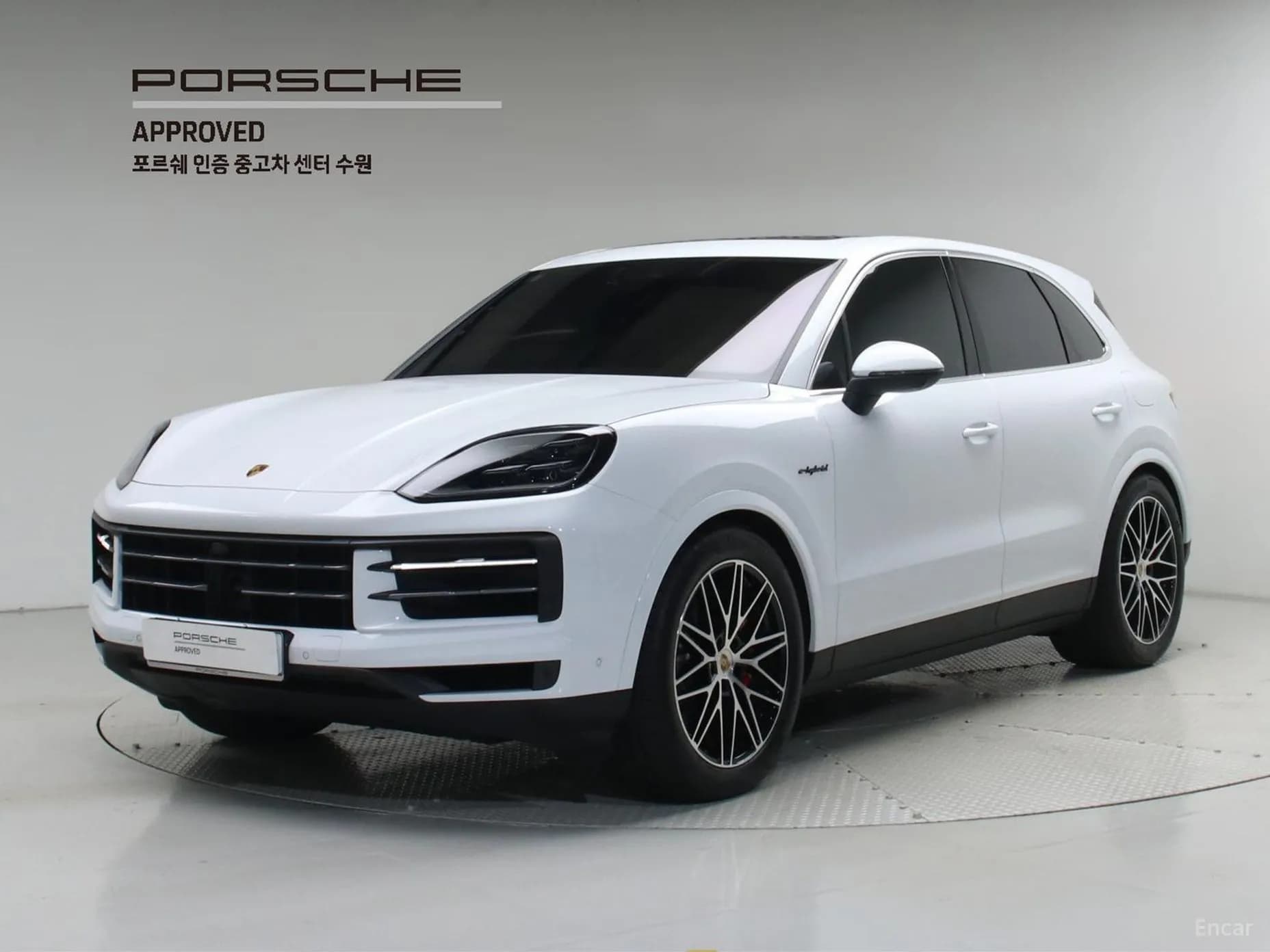 Cayenne (PO536)