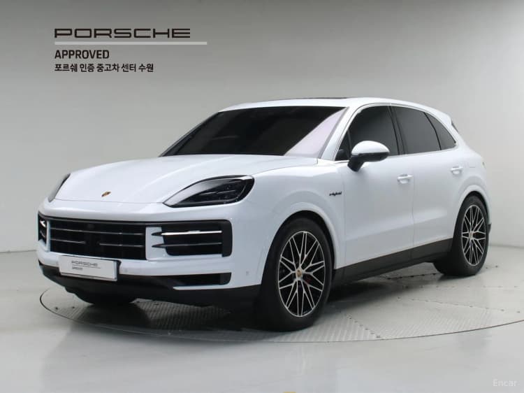 Cayenne (PO536)