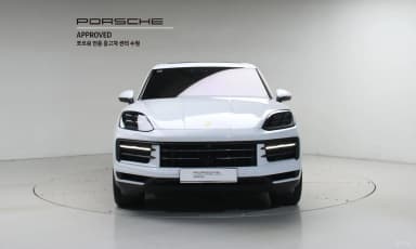 Cayenne (PO536)