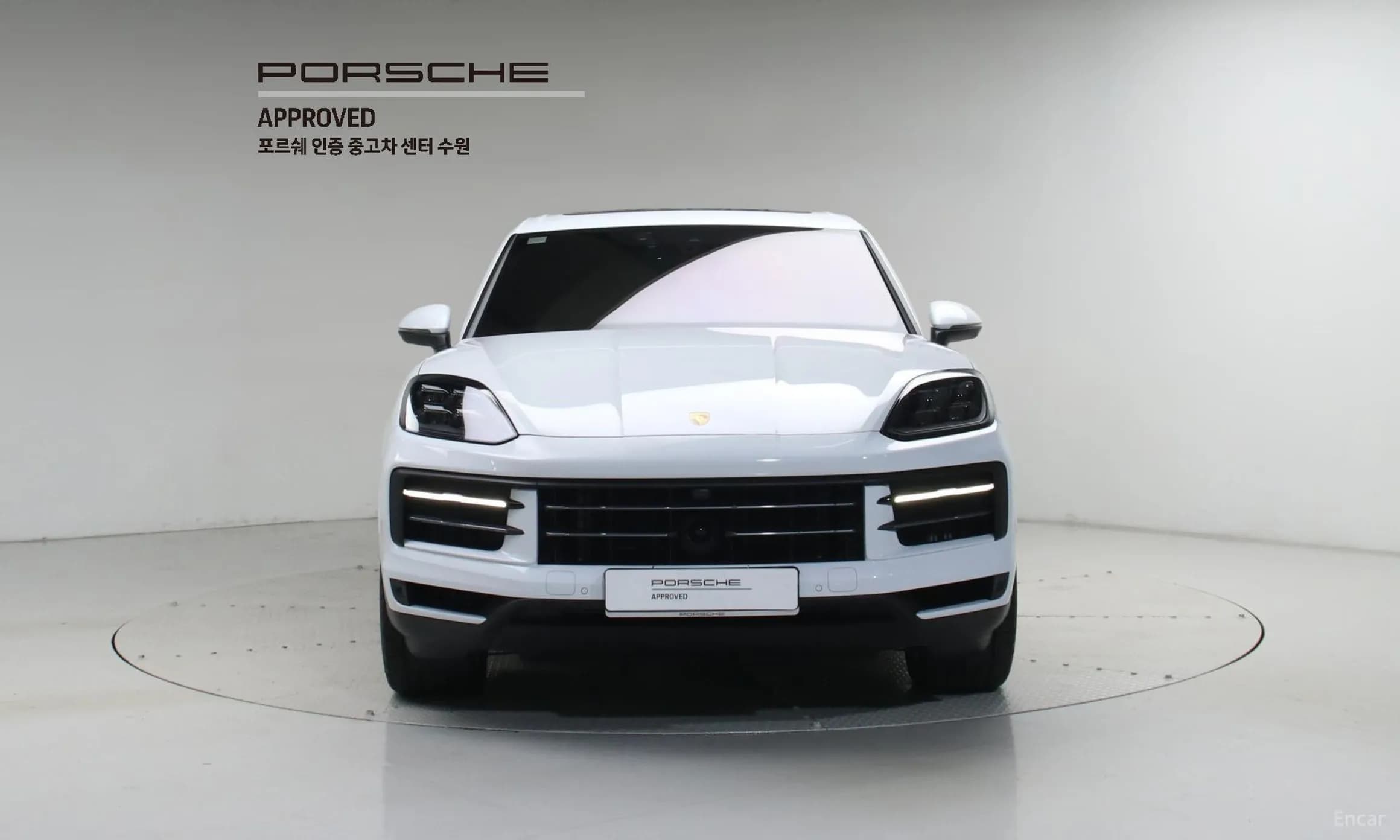 Cayenne (PO536)