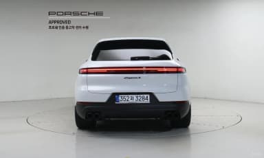 Cayenne (PO536)