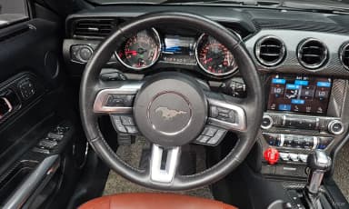 Mustang