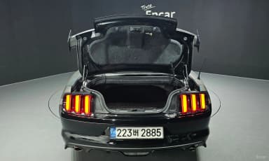 Mustang