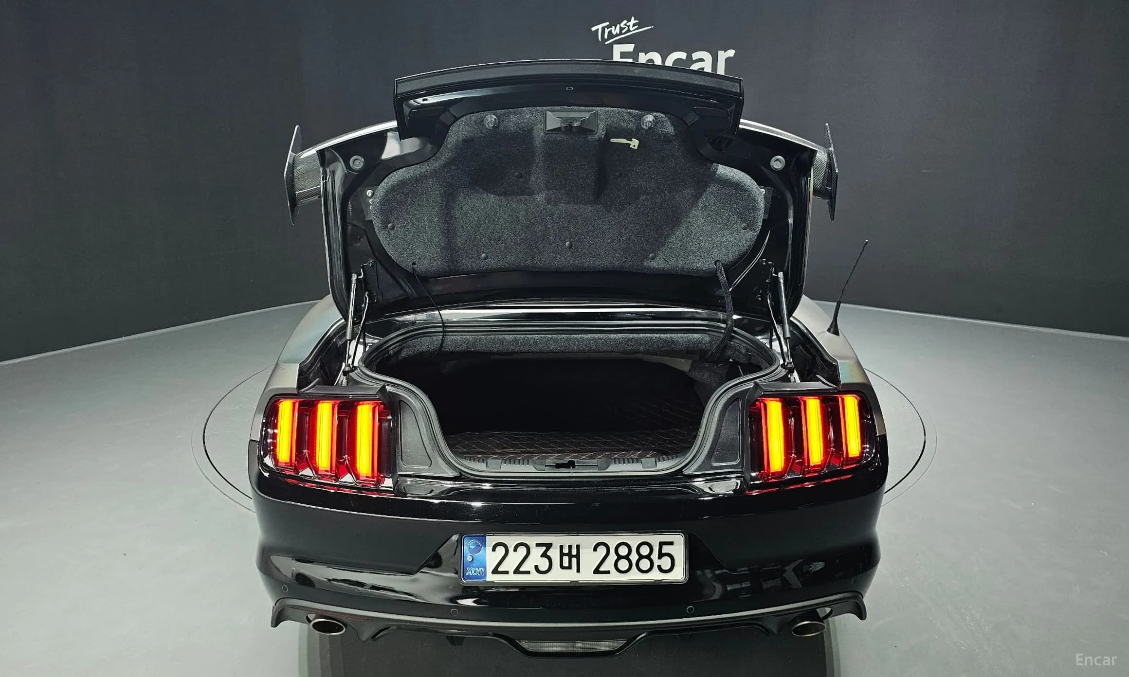 Mustang