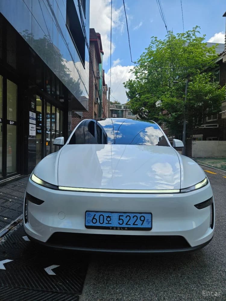 Model Y