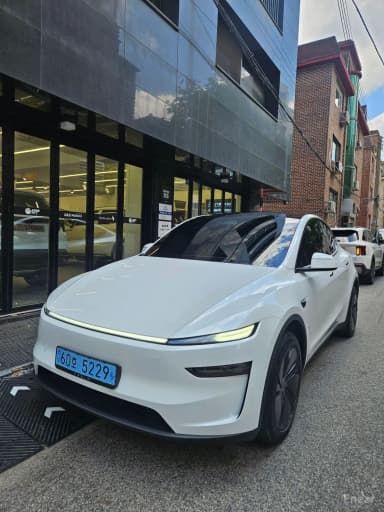 Model Y