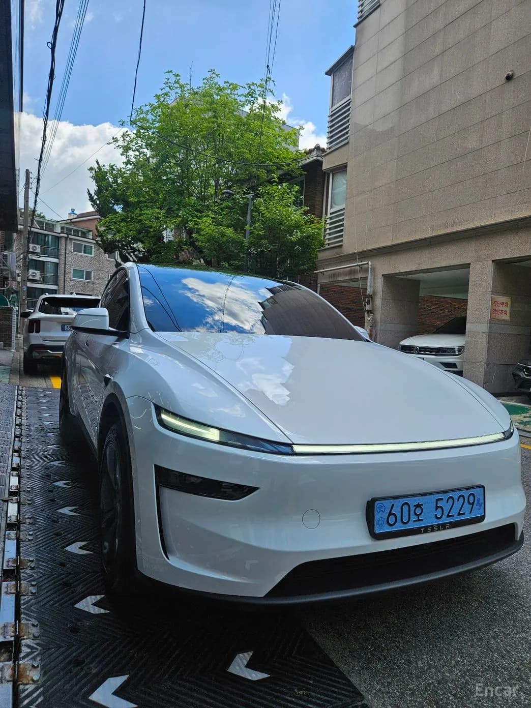 Model Y