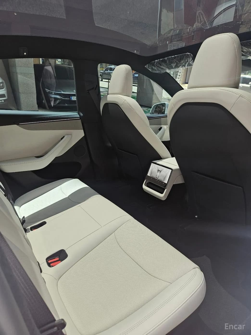 Model Y