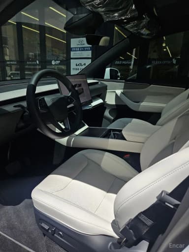 Model Y