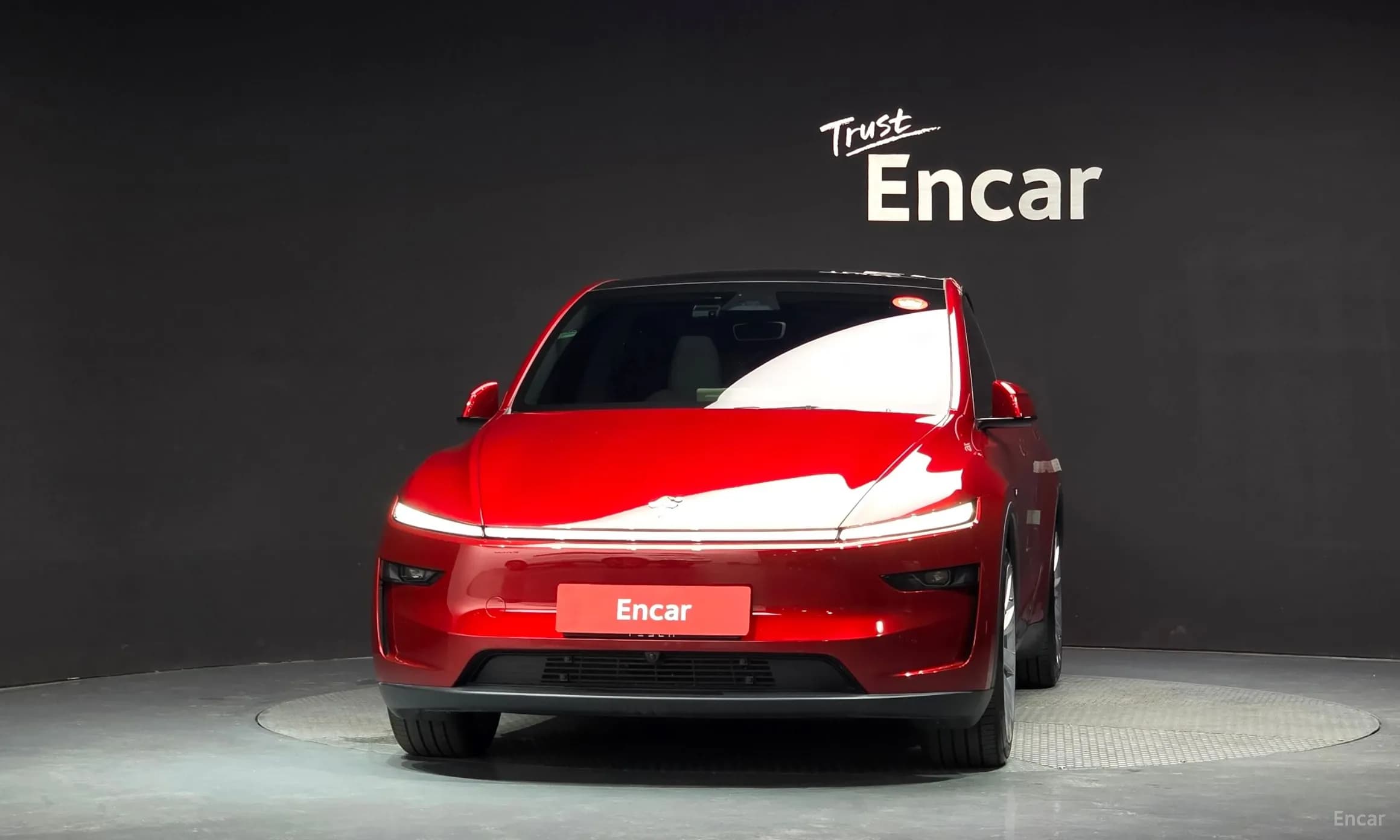 Model Y
