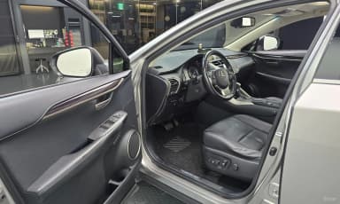 NX300h