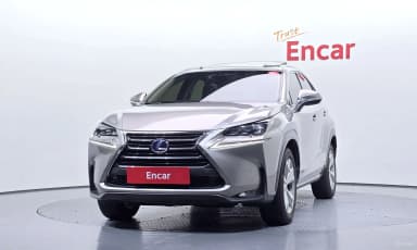 NX300h