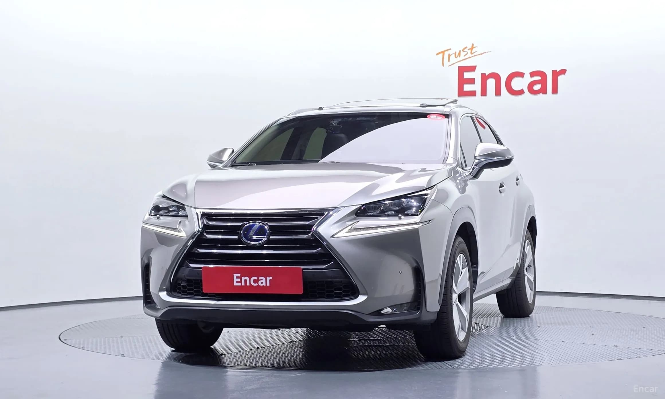 NX300h