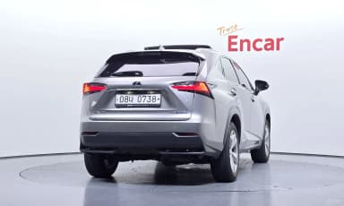 NX300h