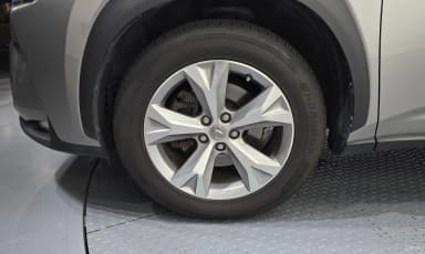 NX300h