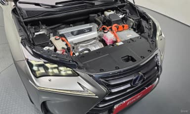 NX300h