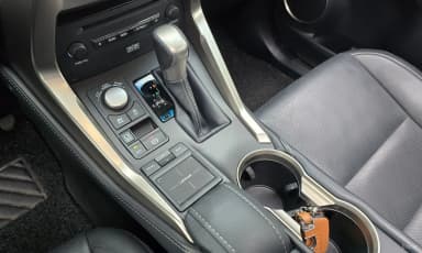 NX300h