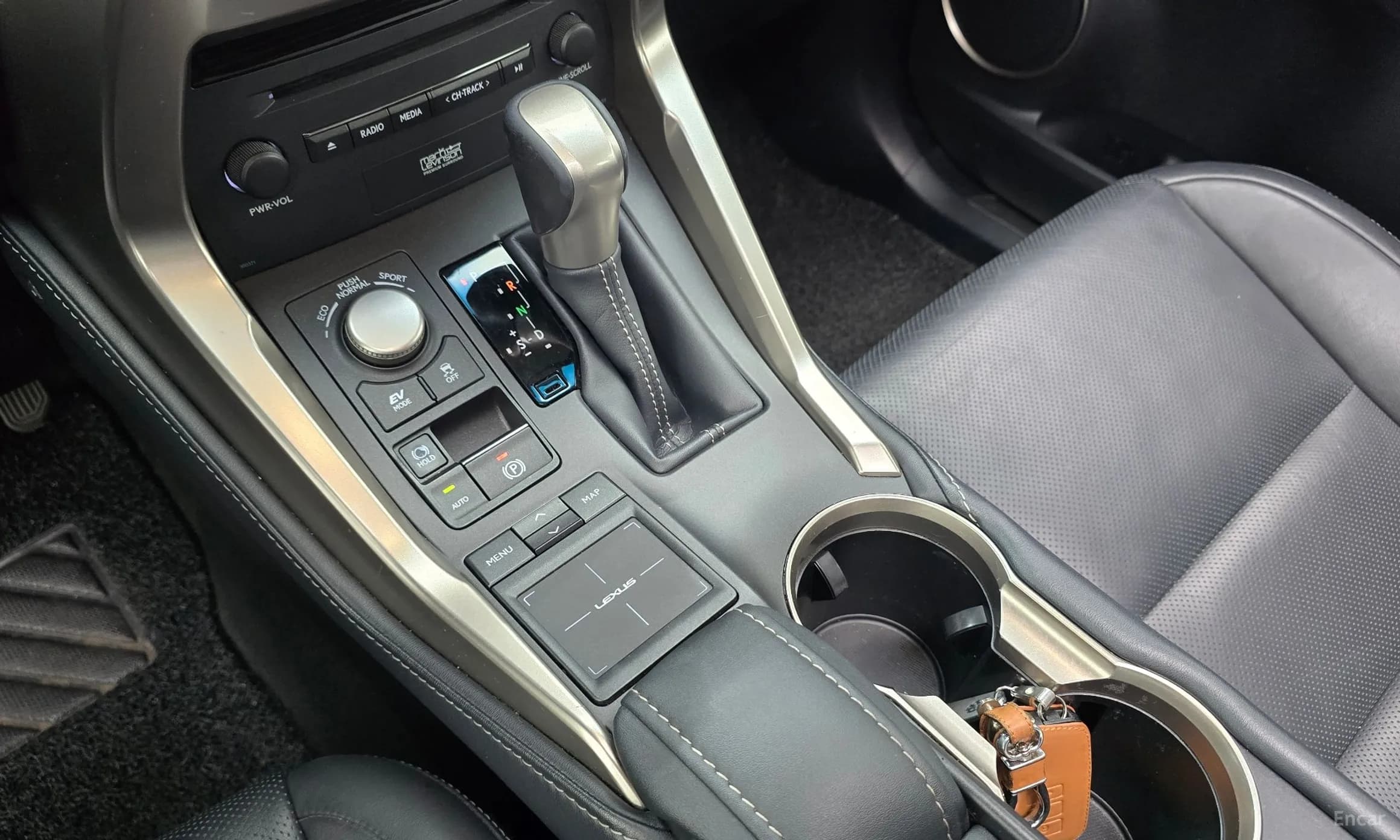 NX300h