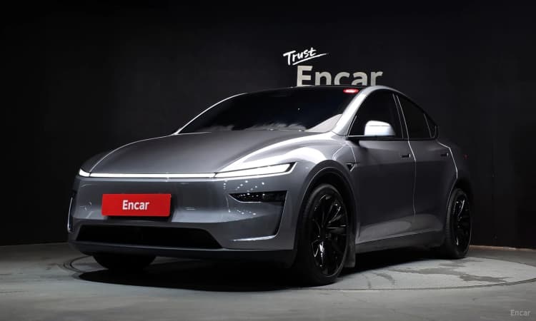 Model Y