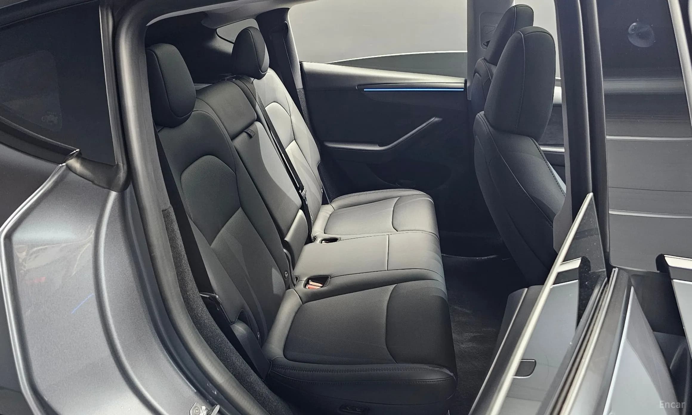Model Y