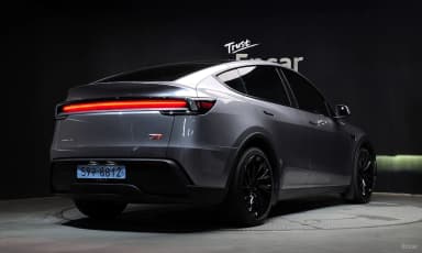 Model Y