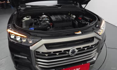 Rexton Sports