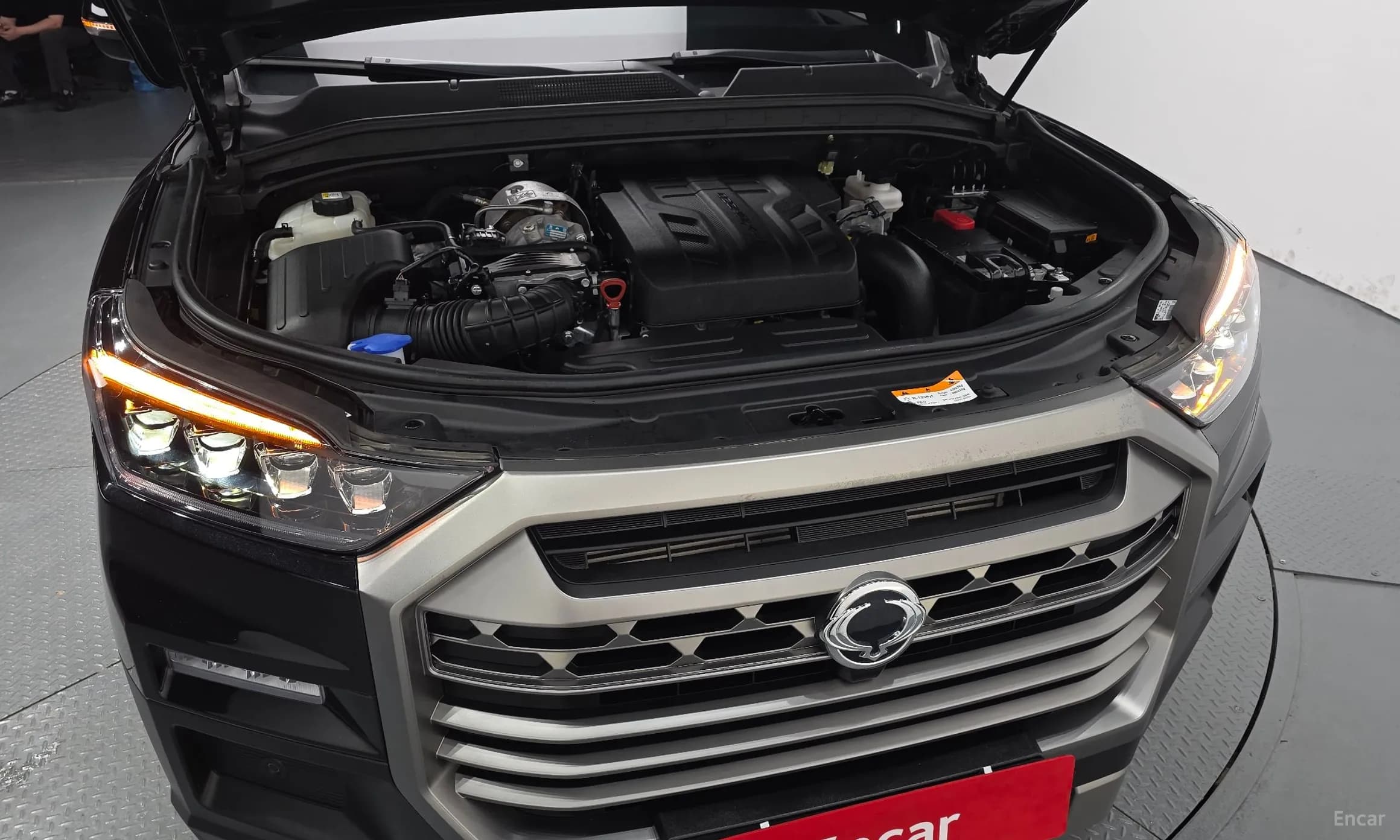 Rexton Sports