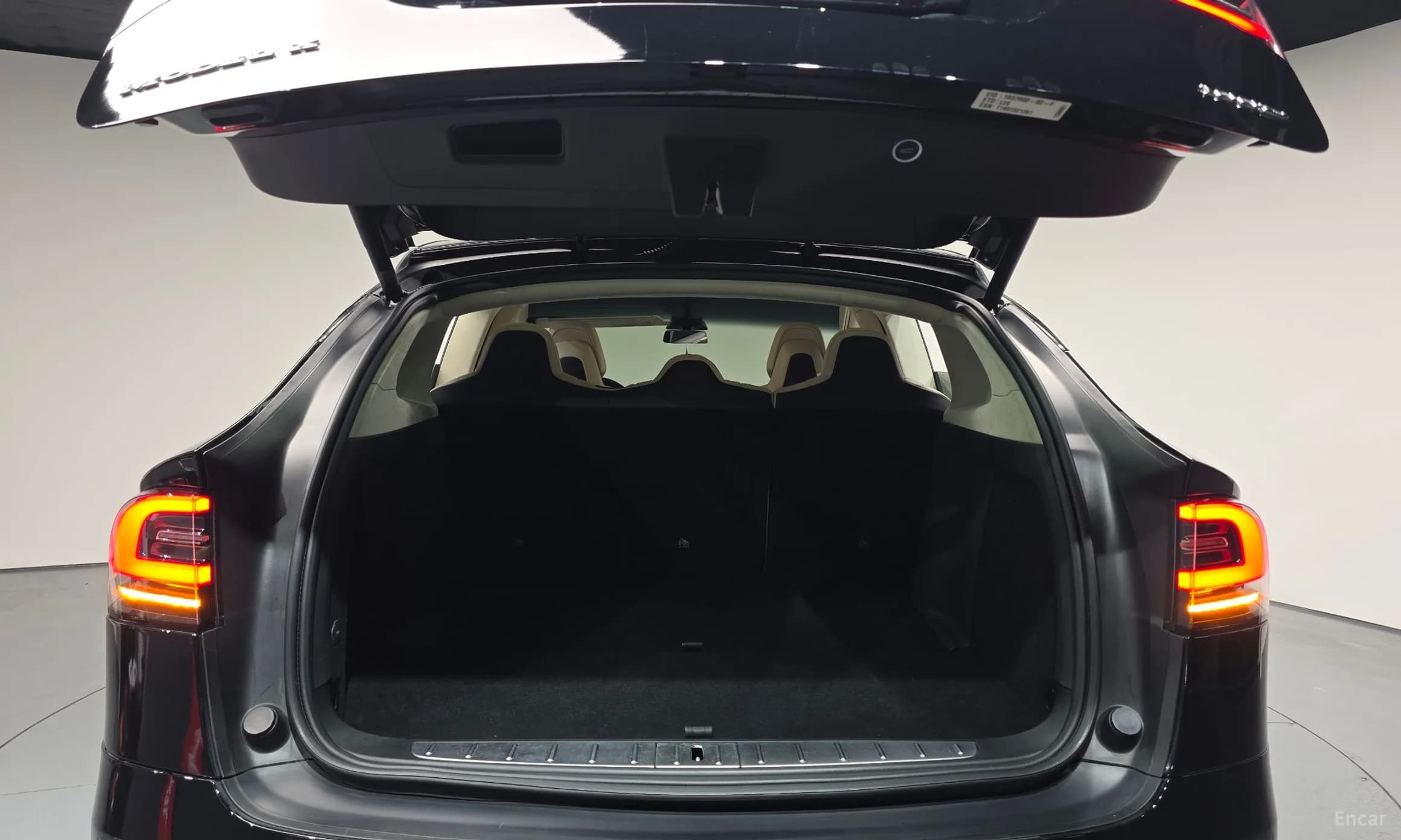 Model X