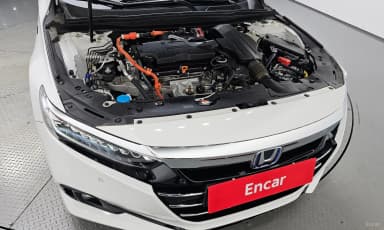 Accord 10th Generation