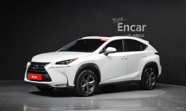 NX300h