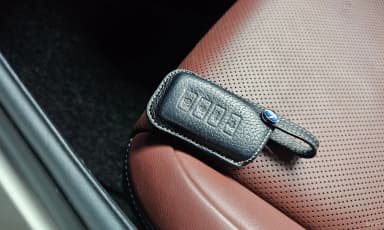 NX300h