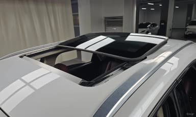NX300h