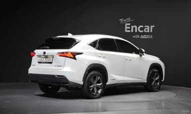 NX300h